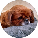 Magdalena K. profile picture